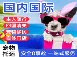 西安机场空运国际宠物托运 【国